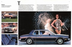 1982 Buick Full Line-12-13.jpg